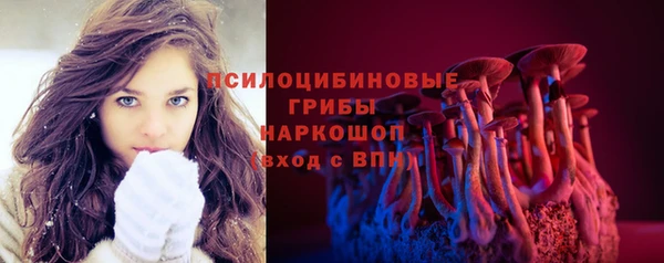 дурь Гусиноозёрск