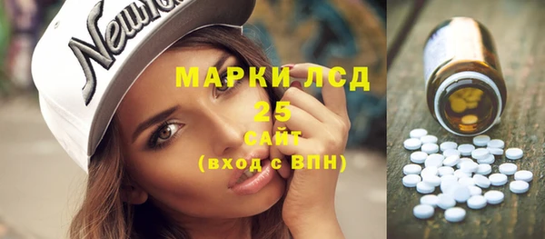 дурь Гусиноозёрск