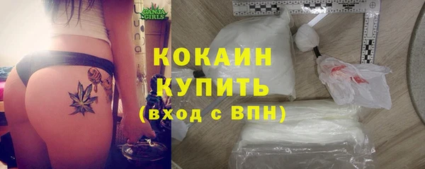 дурь Гусиноозёрск