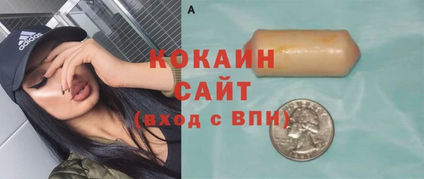 дурь Гусиноозёрск