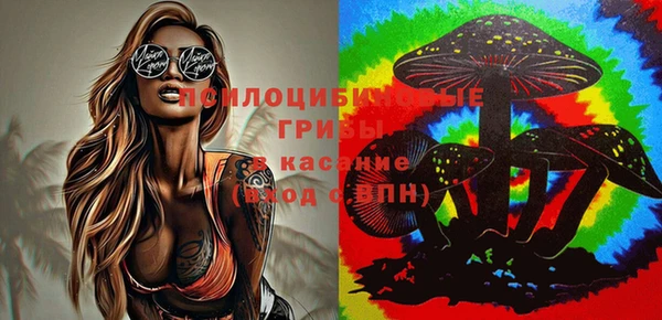 дурь Гусиноозёрск