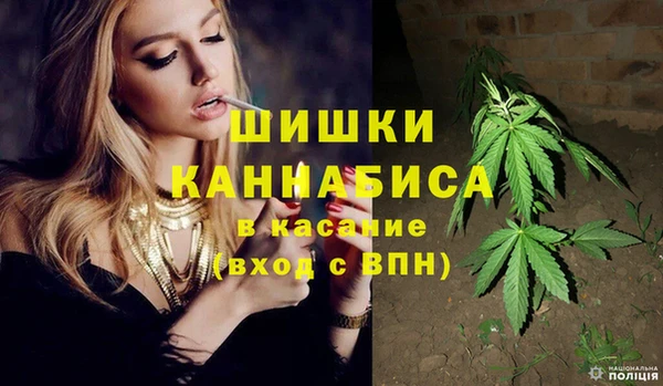дурь Гусиноозёрск