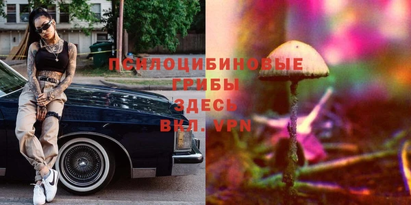 прущий лед Гусь-Хрустальный