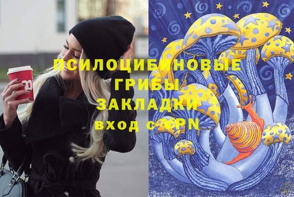 дурь Гусиноозёрск